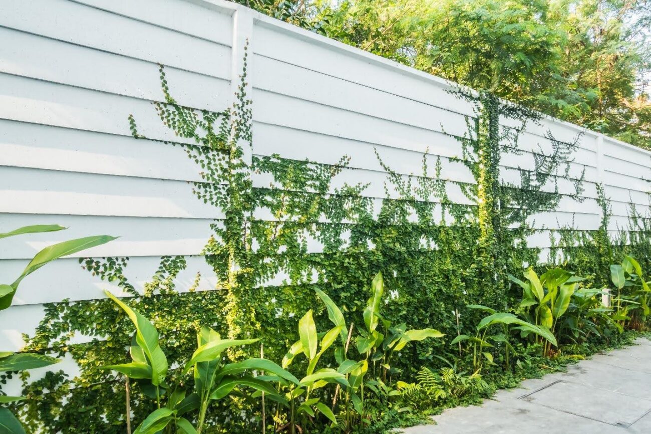 PVC Fence