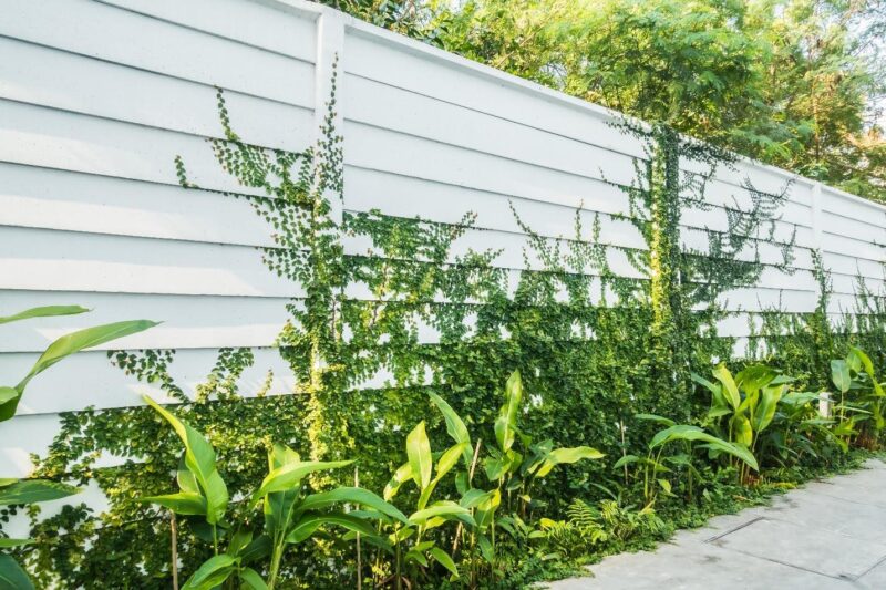Durable PVC Fence Options for Privacy and Aesthetics