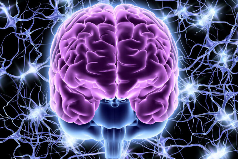 What Causes Mental Infection?